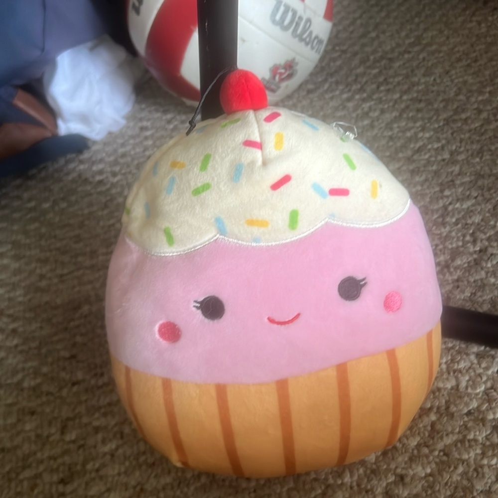 I’m selling Clara the cupcake squishmellows